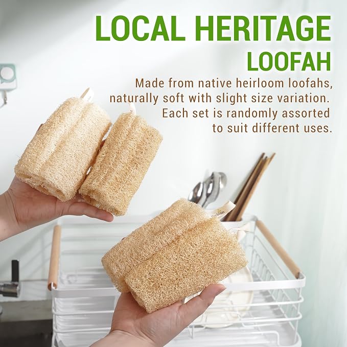 Natural Vietnamese Loofah Sponge, 100% Plant-Based Luffa Exfoliating Body Scrubber for Shower, Multi-Functional for Kitchen, Ideal for Men & Women, Spa & for Pet (6pcs/Pack)