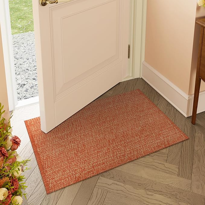 LEEVANG Small Bathroom Rug, 2' x 3' Washable Woven Entryway Rug Low Profile, Terra Reversible Front Door Mat, Farmhouse Kitchen Mat Modern Carpet for Bedroom/Porch/Back Door Decor