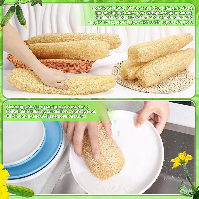 6 Pack Natural Loofah Sponge 13.8-15.7 Inch for Kitchen Bath & Body Scrub Organic Exfoliating Sponge for Dishes Skin Men Women