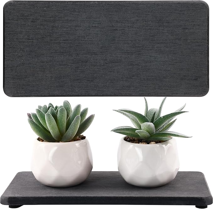 NiuYichee 2 Pcs Water Absorbing Stone Trays, Kitchen/Bathroom Sink Soap Dish, Diatomite Tray Used for Hand Soap & Cosmetic Bottles in The Modern Home, 4" W x 8.3" L, Dark Gray