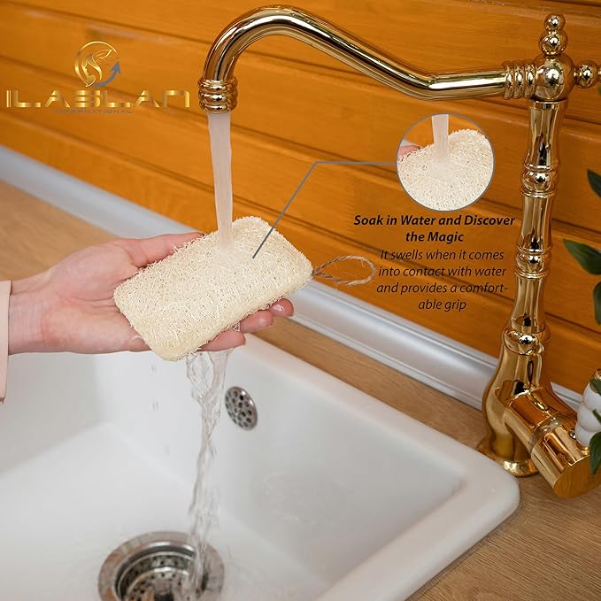 Natural Loofah Dish Sponge Scrubber | Double-Sided | Eco-Friendly, Natural,%100 Organic, Biodegradable and Reusable Dish Loofah Kitchen Sponges | 3 Count (1 Pack) (12X8 CM)