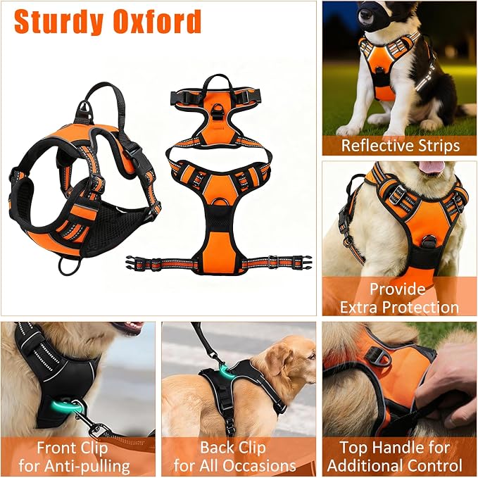 No Pull Dog Harness Adjustable Collar & Leash Set - Dog Halter Harnesses Collapsible Bowls & Poop Bag Dispenser Muzzle ID Tags Toys Fits Small Medium Large Dogs (Orange-XL)