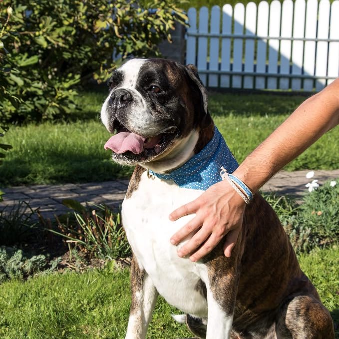 Pettsie Hemp Dog Bandana Collar & Matching Owner Friendship Bracelet | Soft & Durable Hemp, Removable Scarf, Matching Owner Friendship Bracelet, Gift-Ready Set