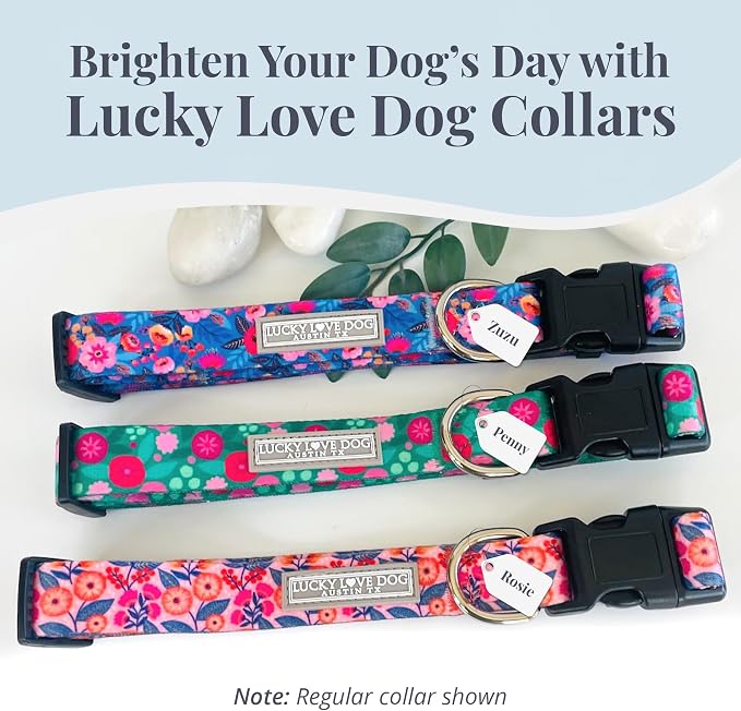 Lucky Love Dog Martingale Dog Collar & Leash - Adjustable, No-Slip, Durable, Comfortable, Soft Webbing, & Stylish Patterned Collar & Leash Set for Male and Female Dogs - Rosie Combo, Large