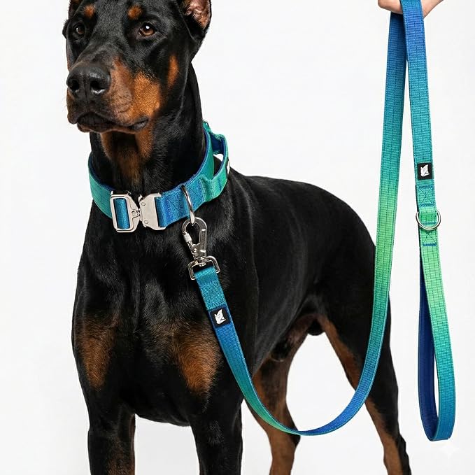 Haminway Ocean Wave Tactical Dog Collar and Leash Set – Heavy Duty Nylon, Metal Buckle, Padded Handle, Gradient Color Design – Durable for Large Dogs, Training & Outdoor Walking (L Size)