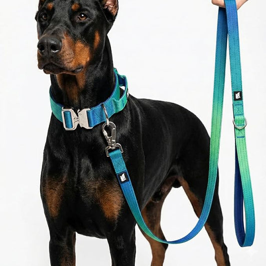 Haminway Ocean Wave Tactical Dog Collar and Leash Set – Heavy Duty Nylon, Metal Buckle, Padded Handle, Gradient Color Design – Durable for Large Dogs, Training & Outdoor Walking (L Size)