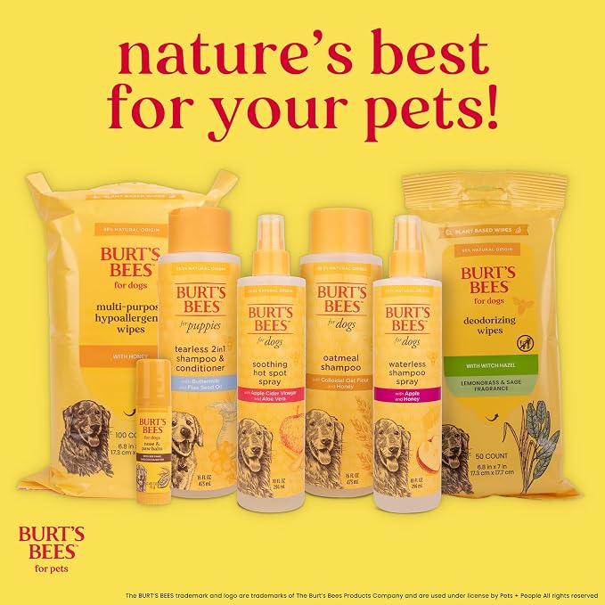 Burt's Bees for Pets Palm Brush with Hemp Bristles for Large Dogs, Ergonomic Handle Reduces Wrist Stress, Removes Dirt and Debris, Ideal for Daily Grooming, Made of Bamboo and Recycled Materials