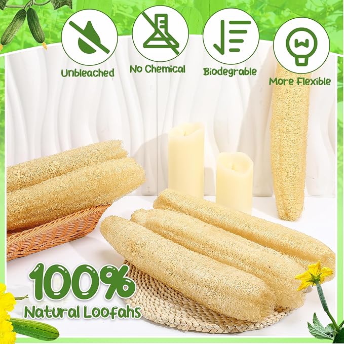 6 Pack Natural Loofah Sponge 13.8-15.7 Inch for Kitchen Bath & Body Scrub Organic Exfoliating Sponge for Dishes Skin Men Women