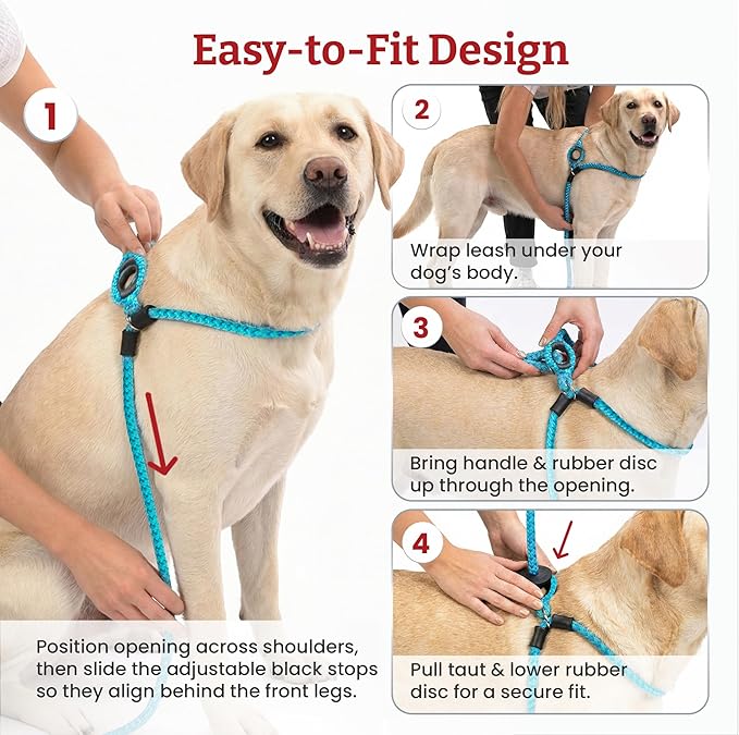 Harness Lead No Pull Dog Harness and Leash Set, Anti Pull Dog Harness, One-Piece Cushioned Rope Safely Prevents Escaping and Pulling (Small/Medium, Rainforest)