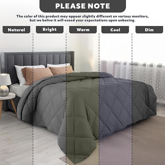 LUX Décor Lightweight Comforter Queen Size - Soft Breathable Down Alternative Diamond Stitched, All Season Grey Comforter with Double Stitched Piping, Oeko-TEX