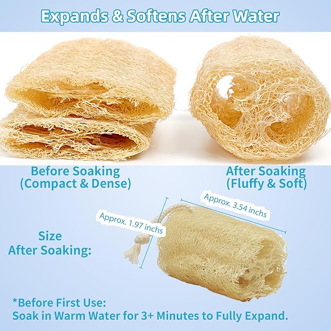 Natural Loofah Exfoliating Body Sponge Scrubber, Plant-Based Organic Loofa Luffa for Men & Women Skin Care Bath Shower Cleaning Back & Fac, Natural Sponges for Dishes (4", 4Pack)