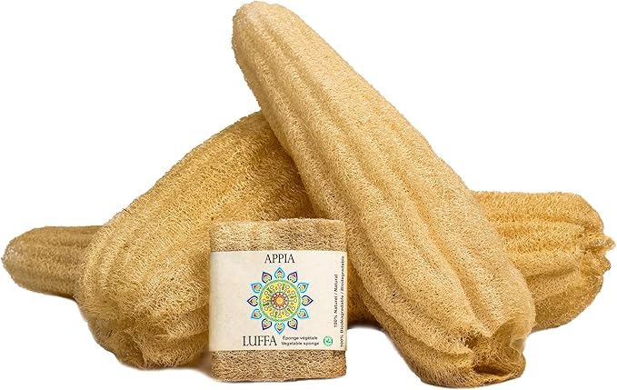 Premium Organic Loofah Sponge Medium 6“ | Loofah for Bath & Shower | Body Scrubber for Shower Scrubbing | Eco Friendly 100% Natural & Biodegradable | Daily Skin Cleansing Care for Women and Men
