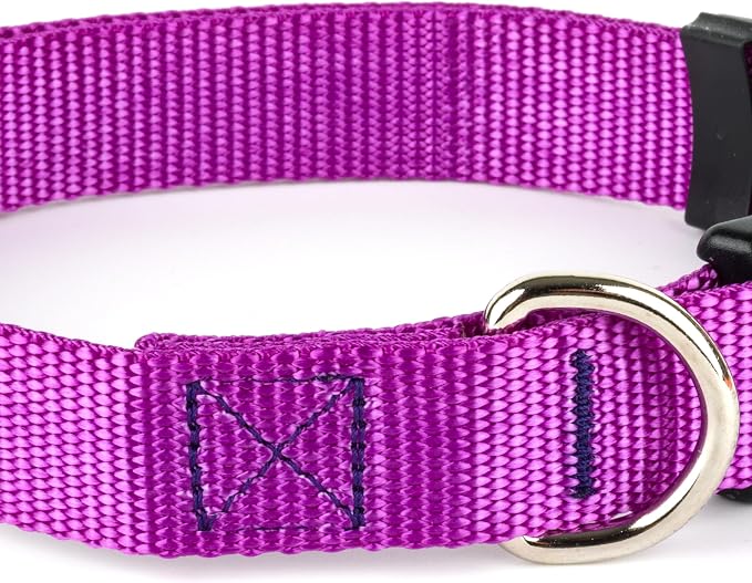 Country Brook Petz - Deluxe Nylon Dog Collar and Leash - 10+ Cool Colors (3/4 Inch, Small, Bright Purple)