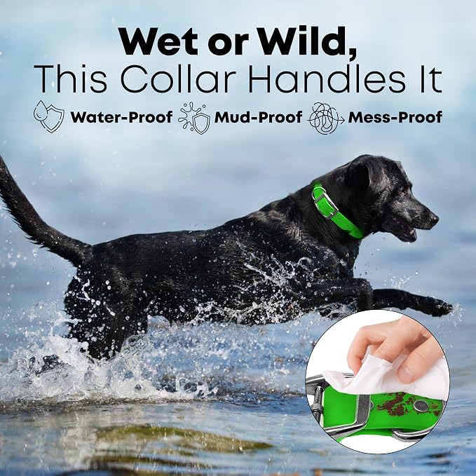 Regal Dog Products Medium Light Green Dog Collar with Heavy Duty Double Buckle & D Ring | Vinyl Coated, Custom Fit, Adjustable Biothane Dog Collar Chew Resistant Waterproof Collar for Dogs