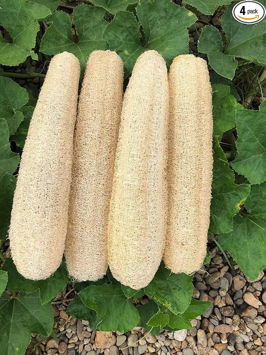 Natural Loofah Sponges Organic Luffa Bath Shower Sponge Exfoliating Body Back Scrubber for Men Women Adults SPA Beauty Bathing Daily Care - 4 PCS