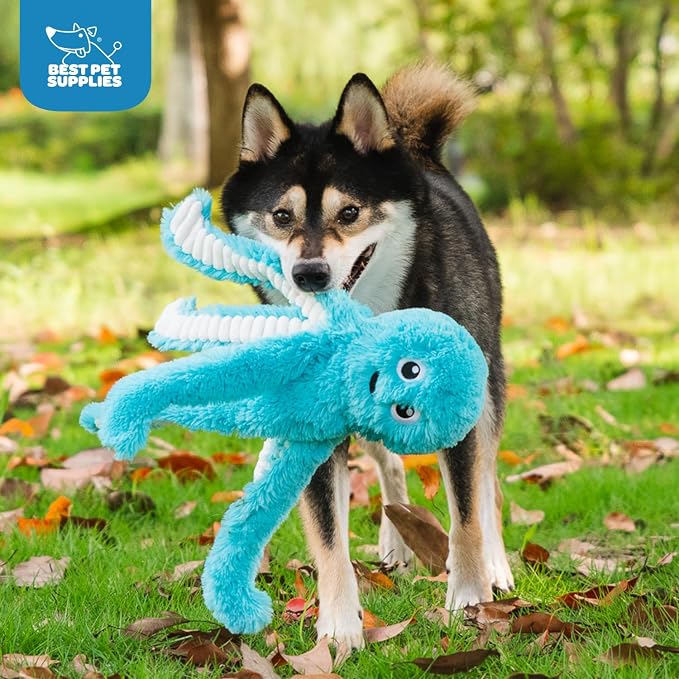 Best Pet Supplies Interactive Squeaky Dog Chew Toy, Ideal Dog Toys for Chewers, Small, Medium & Large Dogs, and Fetch Lovers - Octomutant (Fuchsia, Purple, Turquoise), Large