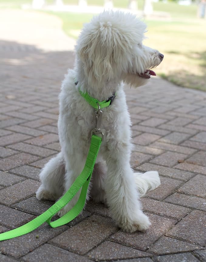 Country Brook Petz - Everyday Nylon Dog Collar and Leash - 10+ Cool Colors (3/4 Inch, Small, Hot Lime Green)