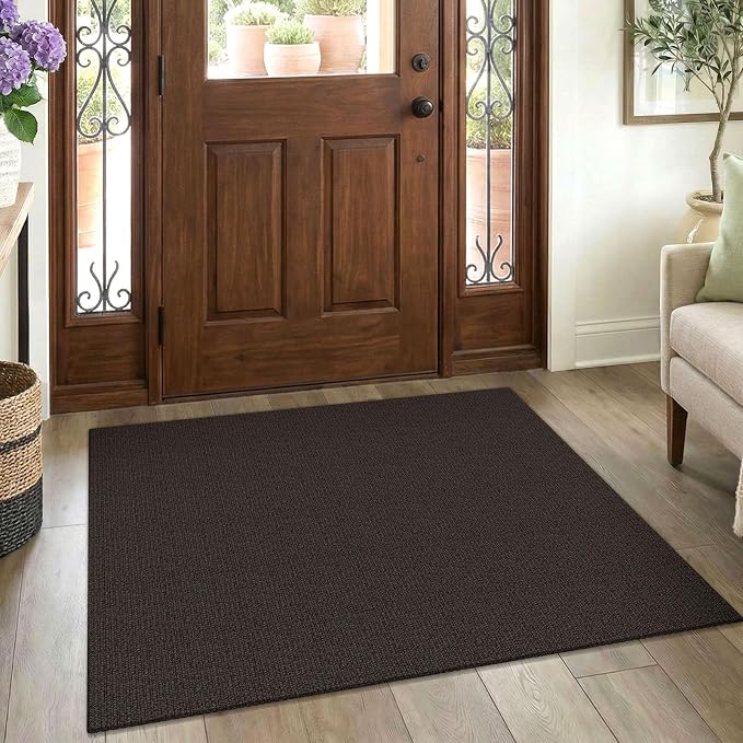EARTHALL Washable Area Rug 3x4 Ft Non Slip Rugs for Entryway Braided Rubber Backed Throw Rugs Door Mat Indoor Outdoor Entrance Cotton Woven Rug for Kitchen Foyer Front Door Living Room, Taupe/Coffee
