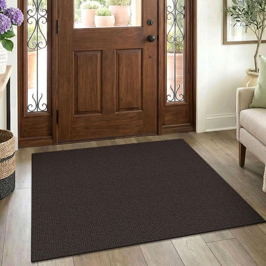 EARTHALL Washable Area Rug 3x4 Ft Non Slip Rugs for Entryway Braided Rubber Backed Throw Rugs Door Mat Indoor Outdoor Entrance Cotton Woven Rug for Kitchen Foyer Front Door Living Room, Taupe/Coffee