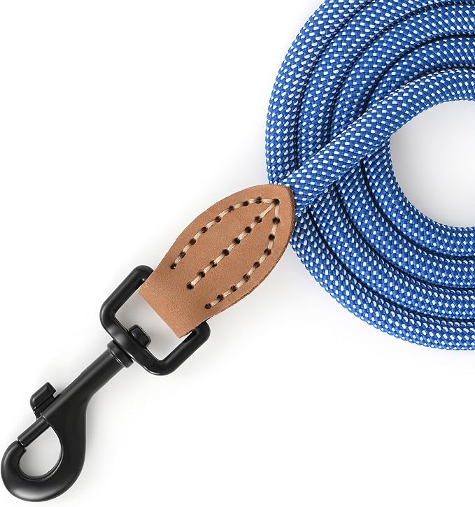 Mile High Life Small Dog Leash, Thin Rope Leash with Genuine Leather Connection and Heavy Duty Metal Clasp, Great for Small Medium Dogs(Blue White,60 Inch-1/3)