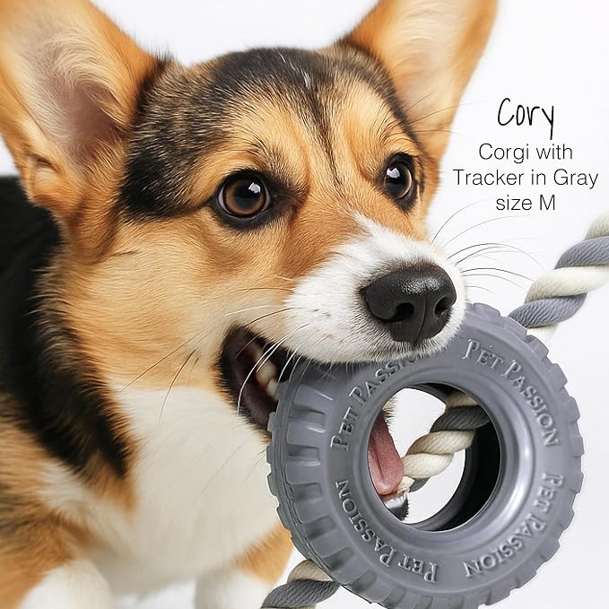 Pet Passion Natural Rubber Tire and Organic Cotton Rope Pull and Chew Dog Toy for All Pet Breeds, Gray, Large