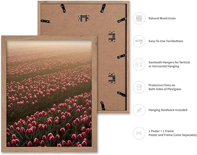 Monem Art Golden Tulip Field Sunset Photography Print - Romantic Spring Landscape Art Poster - Wall Decor for Living Room, Bedroom or Office - 8x10 Beige Framed Wall Art by Mareike Bohmer