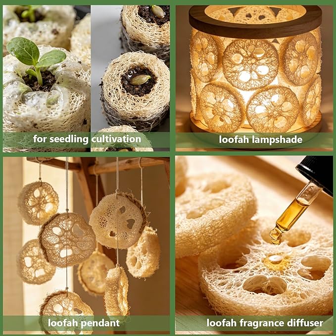 Natural Loofah Sponge for Soap Making, 20 Pack Organic Loofahs Slices Cuts Set, Loofa Exfoliating Body Scrubber, Shower Sponge Luffas for Women and Men