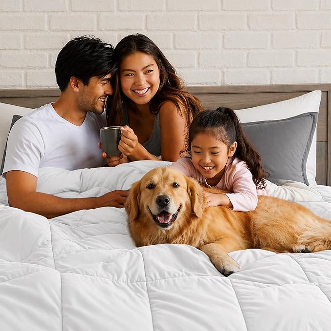 Queen Comforter Duvet Insert - Down Alternative, All Season Fluffy Lightweight Quilted Comforter with Corner Tabs, Machine Washable Hypoallergenic Microfiber, Oeko-TEX Certified, 88x88 - LUX Décor