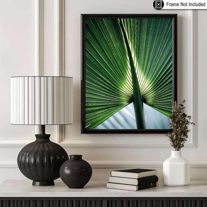 Monem Art Tropical Palm Leaf Macro Photography Print - Minimalist Botanical Nature Art Poster - Wall Decor for Living Room, Bedroom or Office - 16x20 Unframed Wall Art by Mareike Bohmer