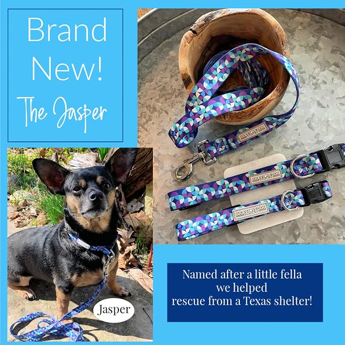 Lucky Love Dog - Adjustable Dog Collar and Leash Set with Easy Click Buckle for Small Dogs, Durable, & Comfortable Collar for Male & Female Dogs, Puppies & Adult Ones - Jasper Combo, Small