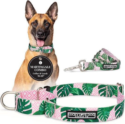 Lucky Love Dog Martingale Dog Collar & Leash - Adjustable, No-Slip, Durable, Comfortable, Soft Webbing, & Stylish Patterned Collar & Leash Set for Male and Female Dogs - Laguna Mart Combo, Large