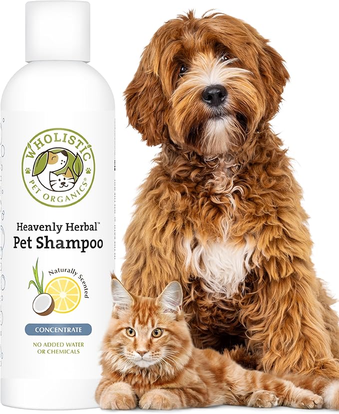 Wholistic Pet Organics Pet Shampoo Concentrate: USDA Organic Cat and Dog Shampoo for Sensitive Skin and Coat Support - Mild and Non-Irritating, Natural, Non-Toxic, Sulfate-Free, & Cruelty-Free - 2 Oz