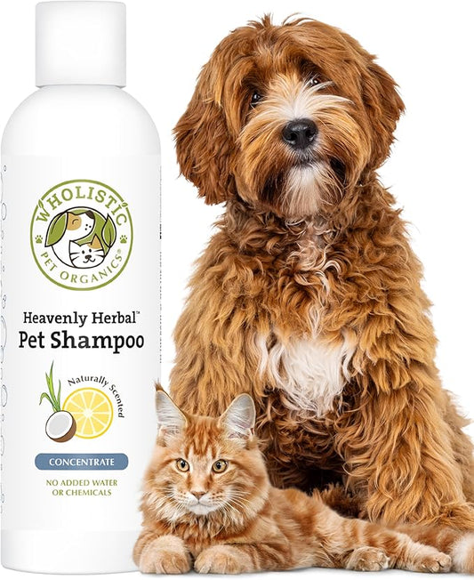 Wholistic Pet Organics Pet Shampoo Concentrate: USDA Organic Cat and Dog Shampoo for Sensitive Skin and Coat Support - Mild and Non-Irritating, Natural, Non-Toxic, Sulfate-Free, & Cruelty-Free - 2 Oz