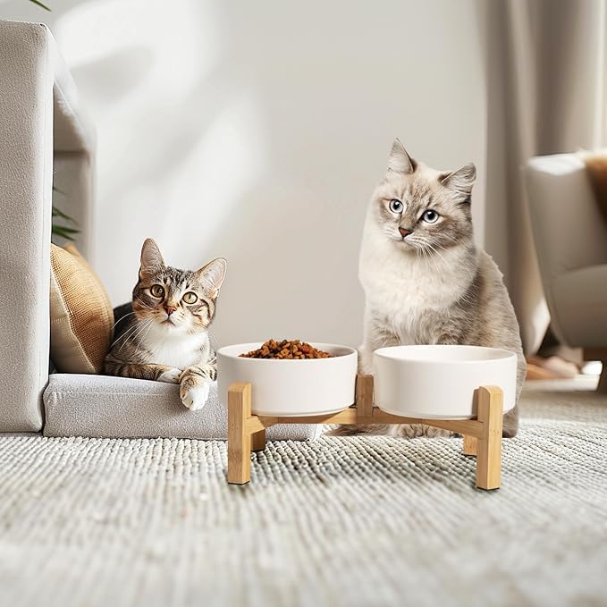 Elevated Ceramic Dog Bowl Set - Raised Feeding Bowls with Non-Slip Bamboo Stand - Small Pet Dishes for Food and Water - Ideal for Cats and Puppies - 16.23 OZ - 2 Cups - 480 ML