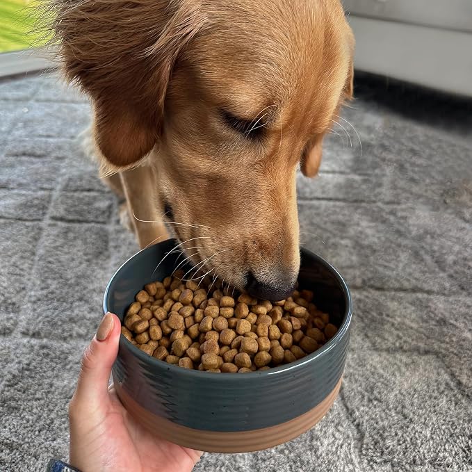 Mora Ceramic Pet Bowl Size Medium - Food/Water Dish for Large Puppies, Cats, Retrievers, Medium Sized Dogs, ect. 28oz or 4 Cups - Basic Bowls for Your Dog or Cat, Mix and Match for a Set - Charcoal