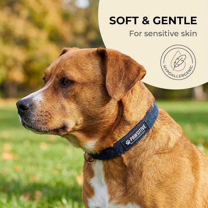 Gracie To The Rescue Wool Dog Collar - Hypoallergenic, Odor Resistant, Supports Dog Rescues