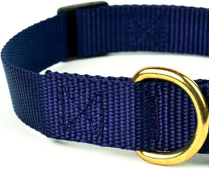 Country Brook Petz - Everyday Nylon Dog Collar and Leash - 10+ Cool Colors (1 Inch, Large, Navy Blue)