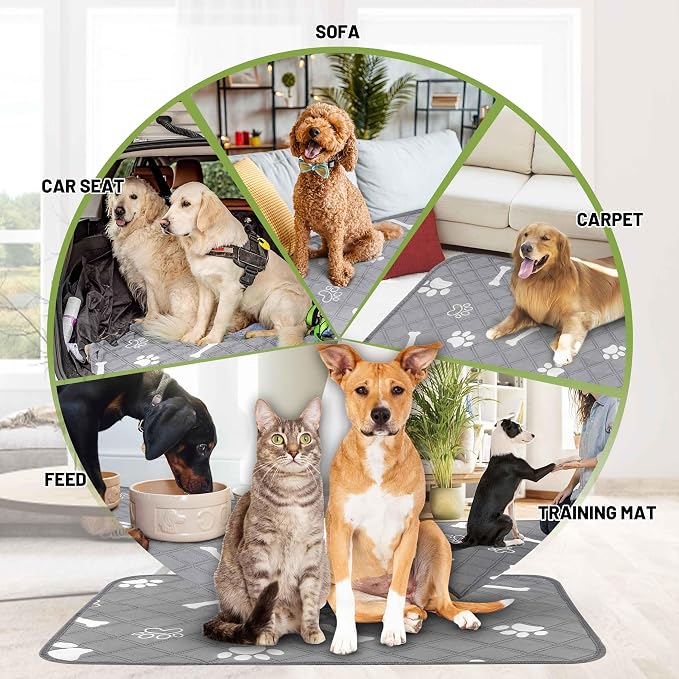 PatiencET Washable Dog Pee Pad, 48" x 65" Extra Large, Super Absorbent Reusable Waterproof Floor & Sofa Protector for Large Dogs, Whelping & Incontinence