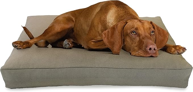 Medium - 36 x 24 x 5 - Natural Premium Org Hemp Dog Bed - CertiPUR Fill - Removeable Cover