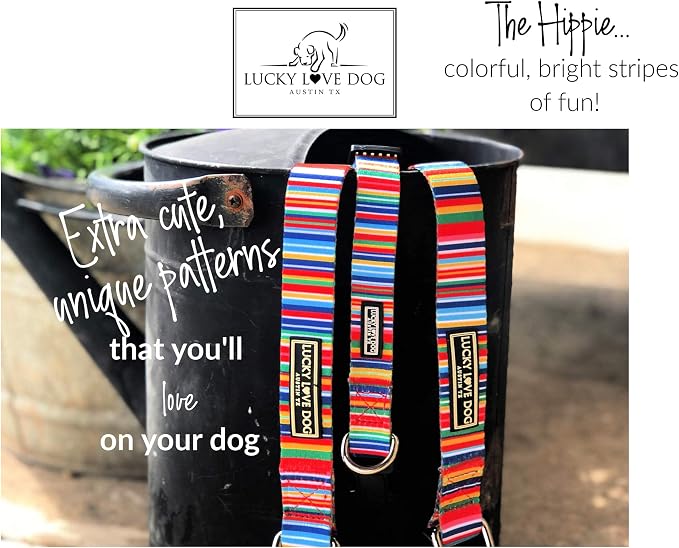 Lucky Love Dog Combo Set,Rainbow Dog Collar & Leash Set for X-Small Dogs, Colorful Matching Collar and Leash Set for Girl or Boy Dogs, Rainbow Stripes Hippie Combo, XS