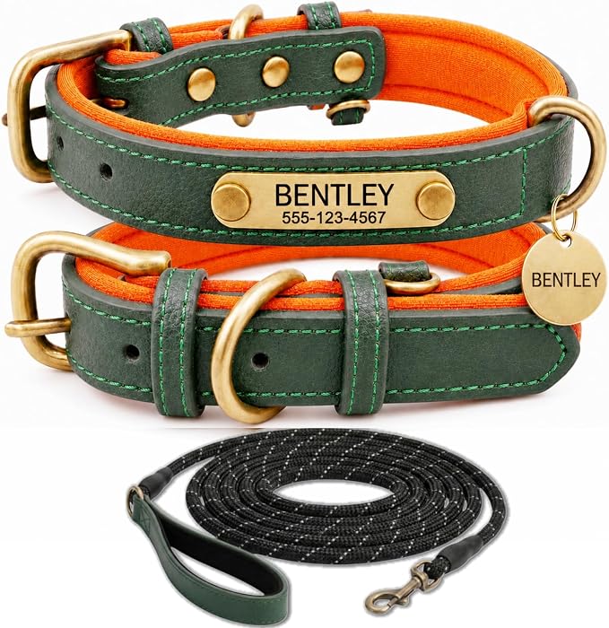 Leather Dog Collar Personalised and Leash Set, Personalized with Soft Padded Design Heavy Duty Featuring Custom Engraved Name Plate for Small Medium and Large Dogs