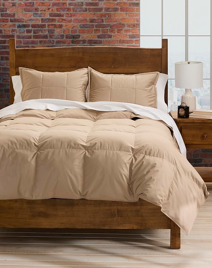 Cuddledown Chroma Down Alternative Comforter | Soft, Lofty, Cloudlike | Hypoallergenic | 100% Cotton Sateen Shell | Handcrafted | Duvet Insert | Oeko-TEX Certified | Queen | Winter | Twig
