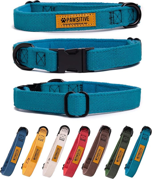 Pawsitive Teal Dog Collar Hemp Dog Collar - Super Soft Hypoallergenic Lining. Great for Small, Medium and Large Dogs; Small Emerald Green