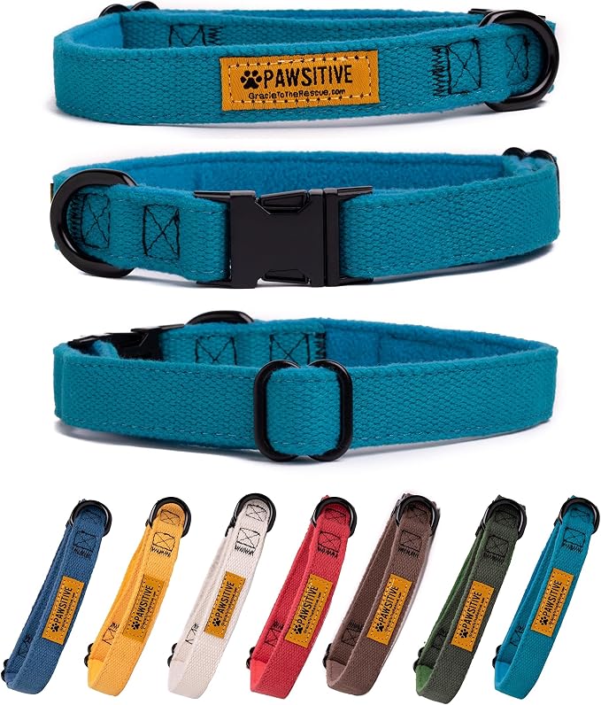 Pawsitive Teal Dog Collar Hemp Dog Collar - Super Soft Hypoallergenic Lining. Great for Small, Medium and Large Dogs; Large Emerald Green