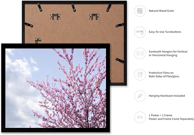 Monem Art Cherry Blossom Spring Sky Photography Print - Floral Nature Art Poster - Wall Decor for Living Room, Bedroom or Office - 8x10 Black Framed Wall Art by Mareike Bohmer