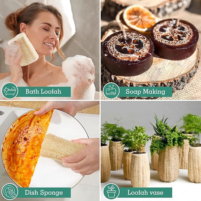 Natural Organic Loofah Sponges Large Exfoliating Shower Bath Loofah Luffa Loofa Body Scrubbers Sponges for SPA Beauty Bath and Radiant Skin, Pack of 4