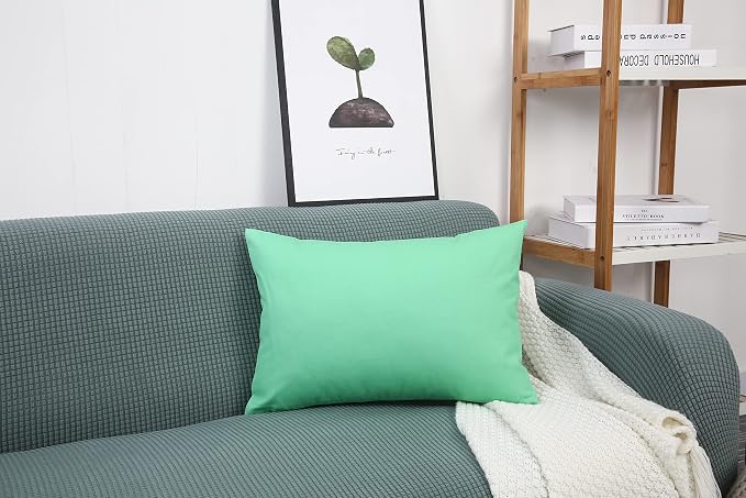TangDepot Handmade Decorative Solid 100% Cotton Canvas Throw Pillow Covers/Cushion Covers, 45 Colors Available - (12" x 20" , Mint Green, 1 Count (Pack of 1)) | 100% cotton, same-color zip, machine wash & air dry. For living room, bedroom, office, car....