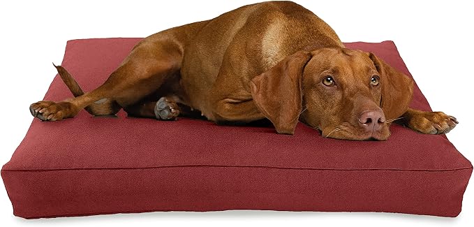 Medium - 36 x 24 x 5 - Cranberry Premium Org Hemp Dog Bed - CertiPUR Fill - Removeable Cover