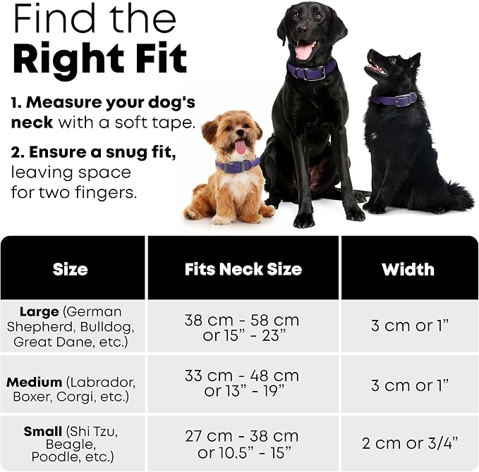 Regal Dog Products Large Purple Waterproof Dog Collar and Leash Set | Heavy Duty Double Buckle & D Ring - 5'ft Leash | Adjustable Biothane Dog Collar | Chew Resistant Waterproof Collar for Dogs