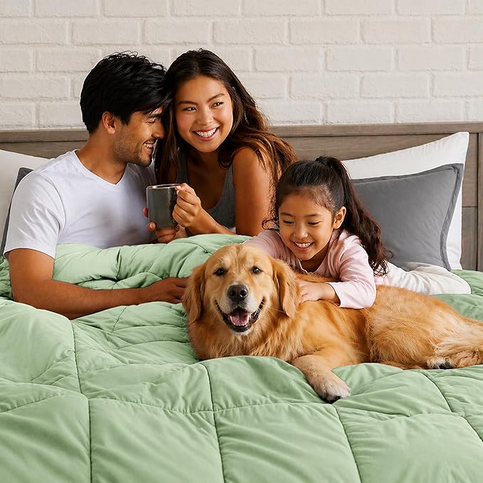 LUX Décor Twin Comforter – 92x68 Ultra-Soft Down Alternative Duvet Insert with Corner Tabs & Box Stitching, Hotel Quality Plush Hypoallergenic Microfiber, Oeko-TEX Certified – Sage